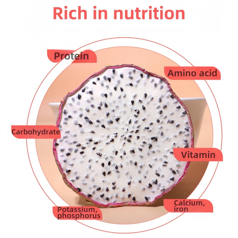 Dried White Dragon Fruit Slices Snacks - (Its Texture Is