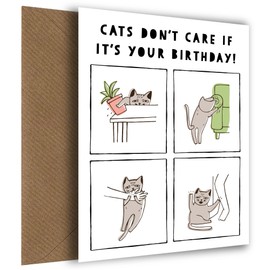 Crazy Cat Birthday Card - Humorous Birthday Cards from the Cat with Scratch, Bite and Claw - Happy Birthday from the Cat for 30th 40th 50th 60th 70th