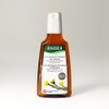 RAUSCH Coltsfoot Anti Dandruff Shampoo 200ml / 라우쉬 콜츠푸트 안티 댄드러프 샴푸 200ml