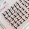 CLEAREYELASH Partial False Eyelashes, Large Capacity, 60 pcs, Korea, Natural,