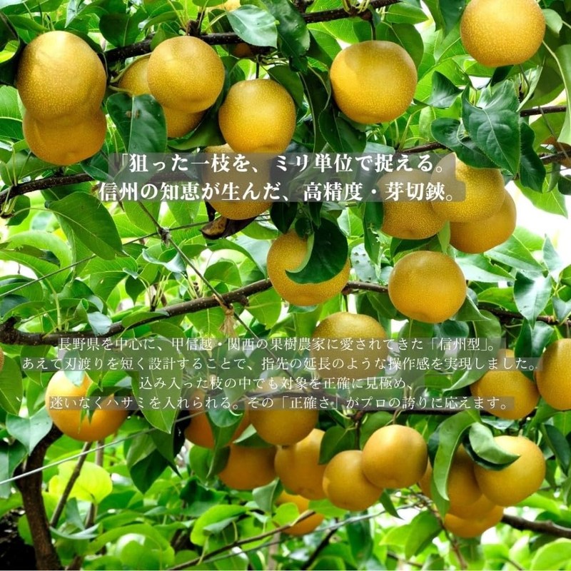 小林製鋏 越路 打物 芽切鋏 K-8
