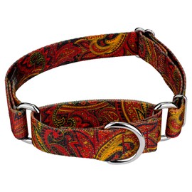 Country Brook Petz - Fire Paisley Martingale Dog Collar - Paisley Collection Featuring Classy Designs (1 Inch, Large)
