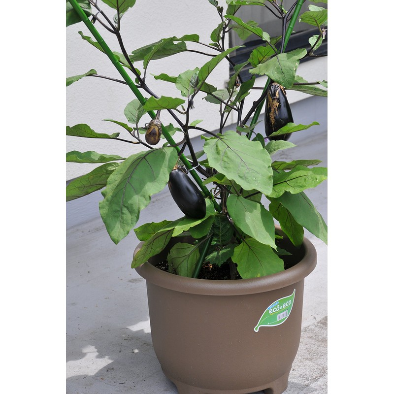 Yamato Plastic eco&eco Planter, マル32ガタ Eブラウン