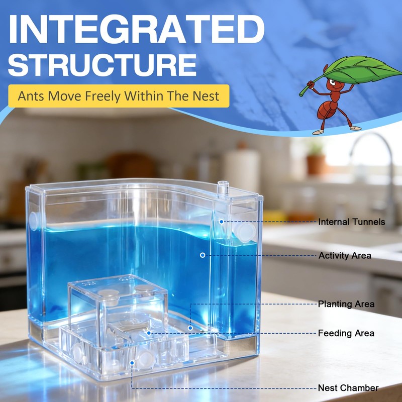 Ant Nest, Ant Habitat Kit