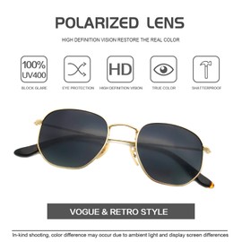 Global Glasses Polygon Sunglasses for Men Women Metal Frame Polarised Sunglasses UV400 CAT3 Vintage Retro Sunglasses, Gold frame + grey gradient lens + retro nose pads