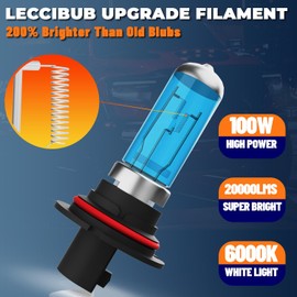 LECCIBUB Headlight Bulbs License Plate Lights Fit For Ford F250 Super Duty 2001-2004, 9007 High Low Beam + 9145 Fog Lights Halogen Light Bulb + License Plate Lights, Pack of 6