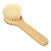 REDECKER Natural Pig Bristle Mushroom Brush Cleaner with Beechwood Handle,