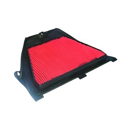 Hiflo Air Filter