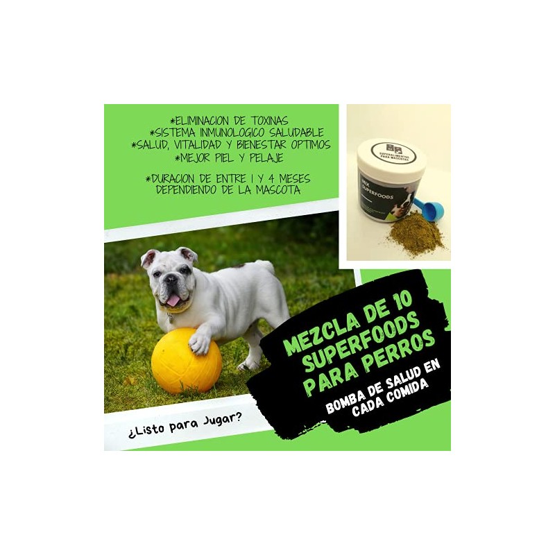 Mezcla de Superfoods para Perros, complemento de la Dieta Barf