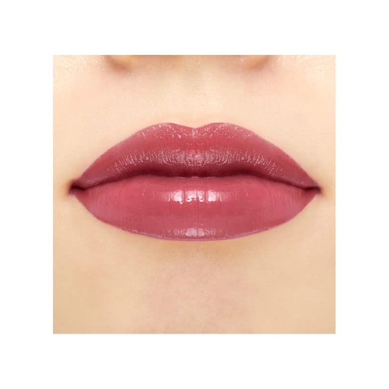 ANNA SUI Rouge 3.5 g 311