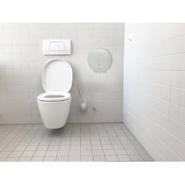 Dexpro Mini Jumbo Toilet Roll Dispenser with Safety Locking and High Impact ABS Case: White