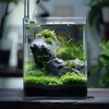 Vimvins 3 Gallon Glass Fish Tank, Easy to Maintain Small