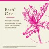 Bach Original Flower Remedies Oak Essential Oil 20ml Emotional Wellness