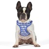 The Dodo Dog Harness, Blue Dodo Print, Size Small: Easy