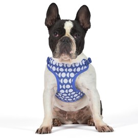 The Dodo Dog Harness, Blue Dodo Print, Size Small: Easy Step-in Harness for Dogs; Breathable Mesh Fabric; Snap-Together, Pinch Release Buckle, Ring for Leash Attachment; Everyday Pet Apparel