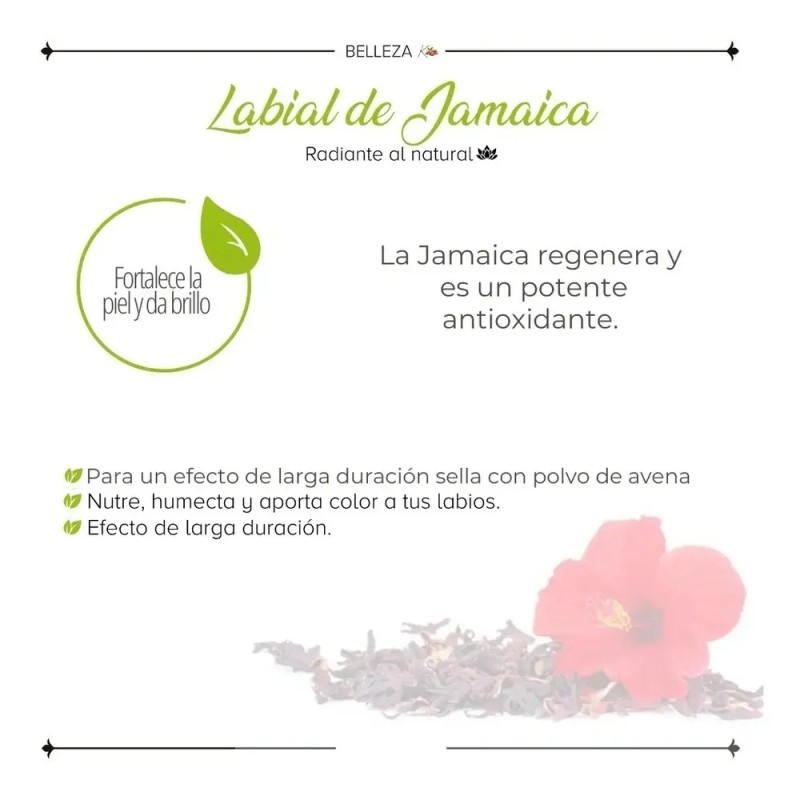 Karol Cosmetics Labial De Jamaica Cosmetico Vegetal