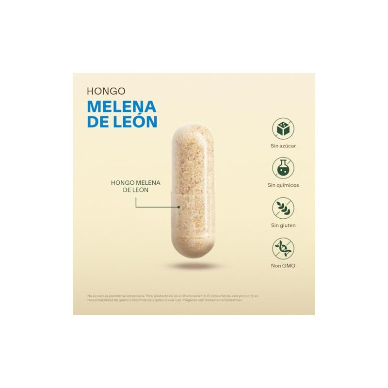 Melena de Leon Nootropico para Enfoque y Claridad Mental VITAL