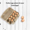 Egg Box Egg Boxes Pack of 10 Cardboard Pack of