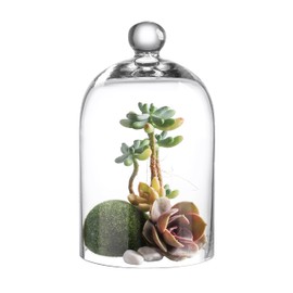KMwares Clear Glass Display Dome Cloche Bell Jar Tabletop Decorative Case Covered Plants/Food (5.1"x8.9")