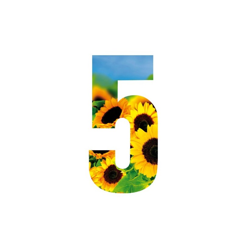 MONOGRAM Classic Signs Wheelie Bin Number Sunflower 5
