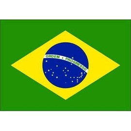 Henbrandt Premium Quality 5Ft X 3Ft 5'X3' Flag Brazil Brazilian