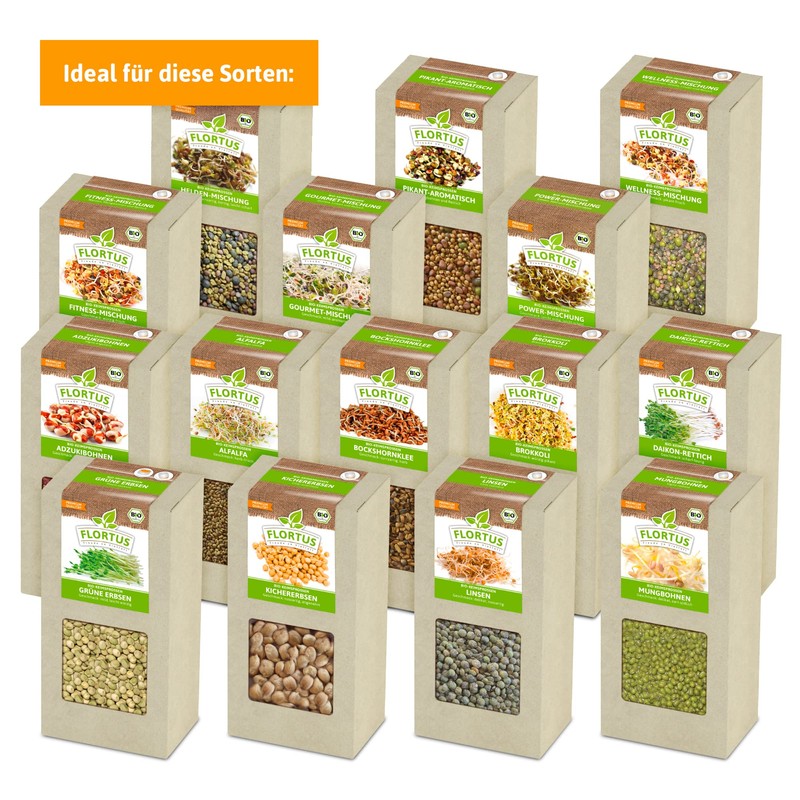 FLORTUS Sprout Jar Set with Strainer Lid & Integrated Stand