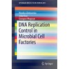 DNA Replication Control in Microbial Cell Factories