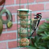Pacific Bird & Supply Co Woodpecker Suet Balls (12 Pack)