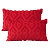 Artscope Pack of 2 Soft Plush Short Wool Velvet Decorative
