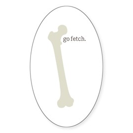 CafePress HRD Go Fetch Oval Car Bumper Sticker