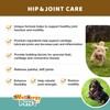 Wellnergy Natural Hip & Joint Care Supplement for Dogs -