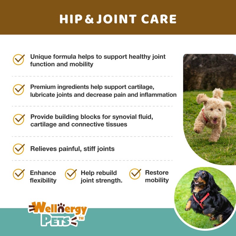 Wellnergy Natural Hip & Joint Care Supplement for Dogs -