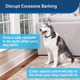 PetSafe Rechargeable Bark Collar, 15 Levels of Automatically Adjusting Static Correction - Rechargeable, Waterproof - Reduces Barking and Whining - for Small, Medium, and Large Dogs over 8 lb