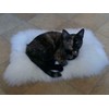 Sheepskin Pet Bed Mat 100% Sheepskin Deluxe Dog Crate Pad