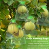 Yosoo Bolsas de Protección de Frutas, Bolsas de Malla para