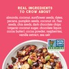 Seven Sundays Nut Granola Cereal, Day Dream Dark Chocolate Raspberry,