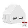 IWIO 3 Pin UK Plug 2 x USB Ports Mains Charger Adapter Dual 2.1AMP 2100mAh Fast Speed Universal Travel USB Wall Charger compatible with Oppo R17 Pro 2018 - WHITE
