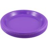 JAM PAPER Round Plastic Party Plates - Medium - 9