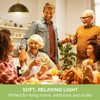 Sigalux LED Light Bulbs 60 Watt Equivalent A19 Standard Light