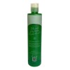 Shampoo De Chile Y Romero Shelo Nabel® 530ml. 2 Piezas