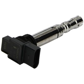 Beru AG 0040102031 Ignition Coil