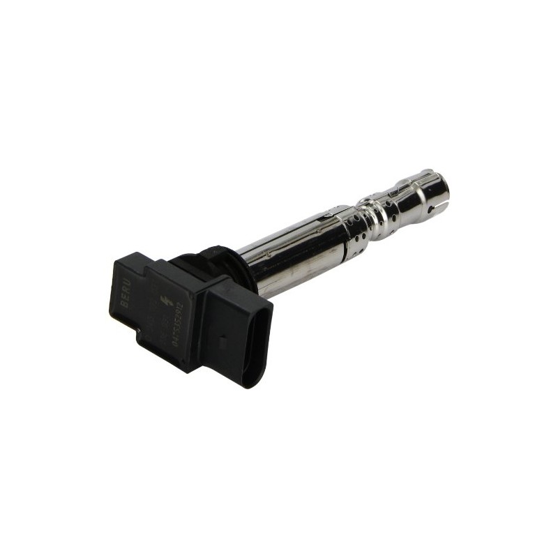 Beru AG 0040102031 Ignition Coil