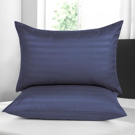 Moonlight Bedding Pillow cases 2 pack - Washed Blue Stripe 50x75cm Luxury Pillowcase 100% Microfiber Hotel Quality Pillow Cover - Super Soft and Breathable Pillow Case