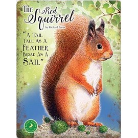 Fridge Magnet - The Red Squirrel - A tail tall as a feather broad as a sail