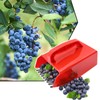 Berry Picker, 2 Pack Berry Pickers and Rakes with Metallic
