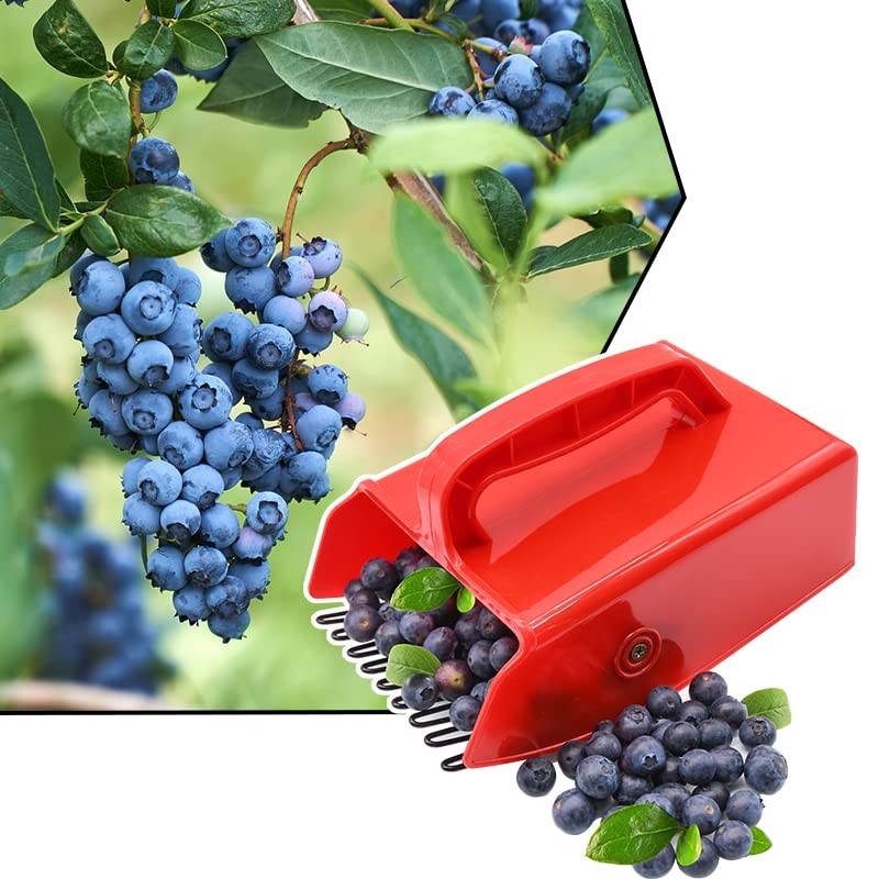 Berry Picker, 2 Pack Berry Pickers and Rakes with Metallic