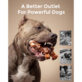 DinoBone 2-Pack Tough Dog Chew Toys for Aggressive Chewers, Bacon Flavor