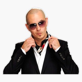 Pitbull - Mr Worldwide Vinyl Waterproof Sticker Decal Car Laptop Wall Window Bumper Sticker 5"