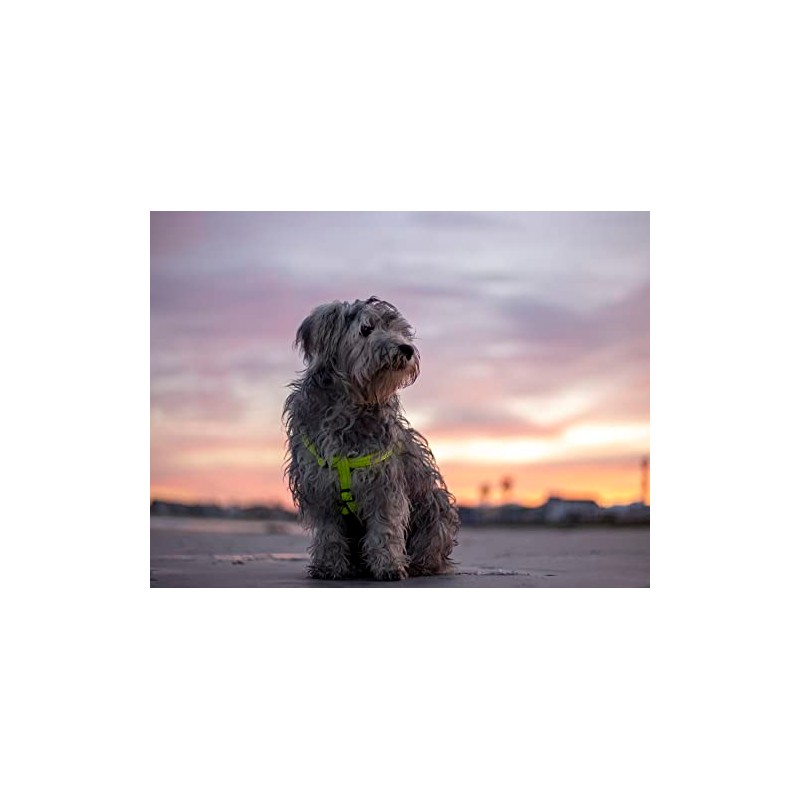 Rogz Classic Step In Quick Fit Dog Harness Pink Extra