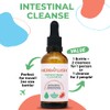HERBAFLUSH Intestinal Cleanse Organic Tincture / 2 Week Cleanse
